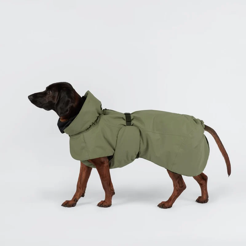 Vollreflektierender Hundewintermantel Seawool Olive