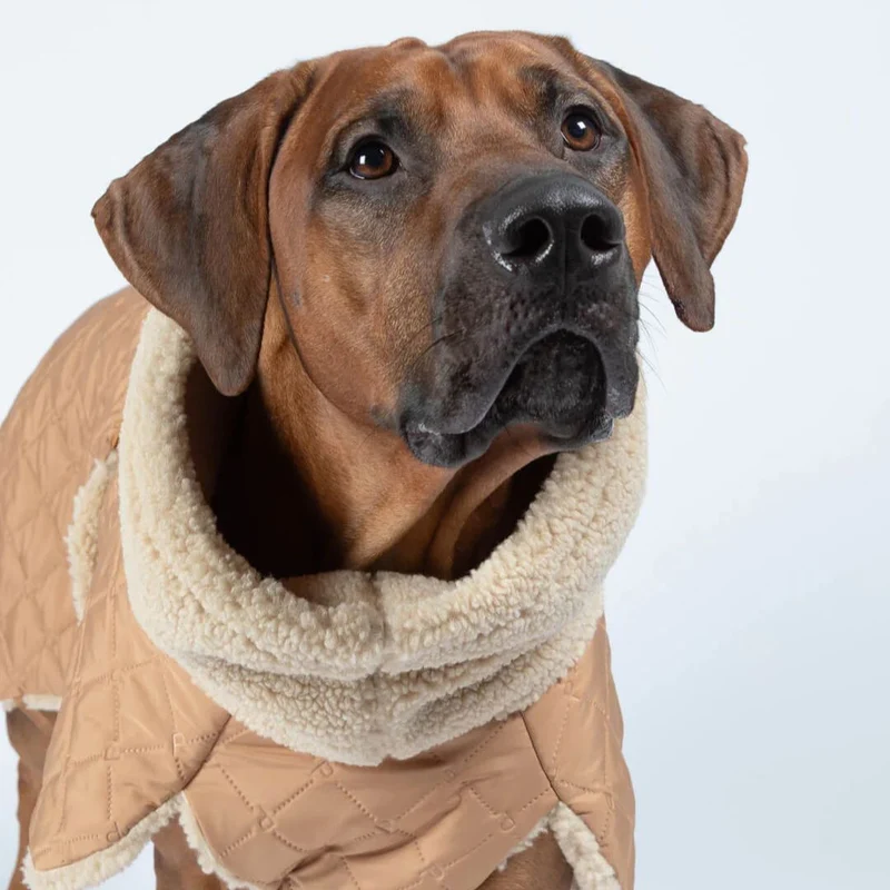 Hundemantel Sherpa Camel