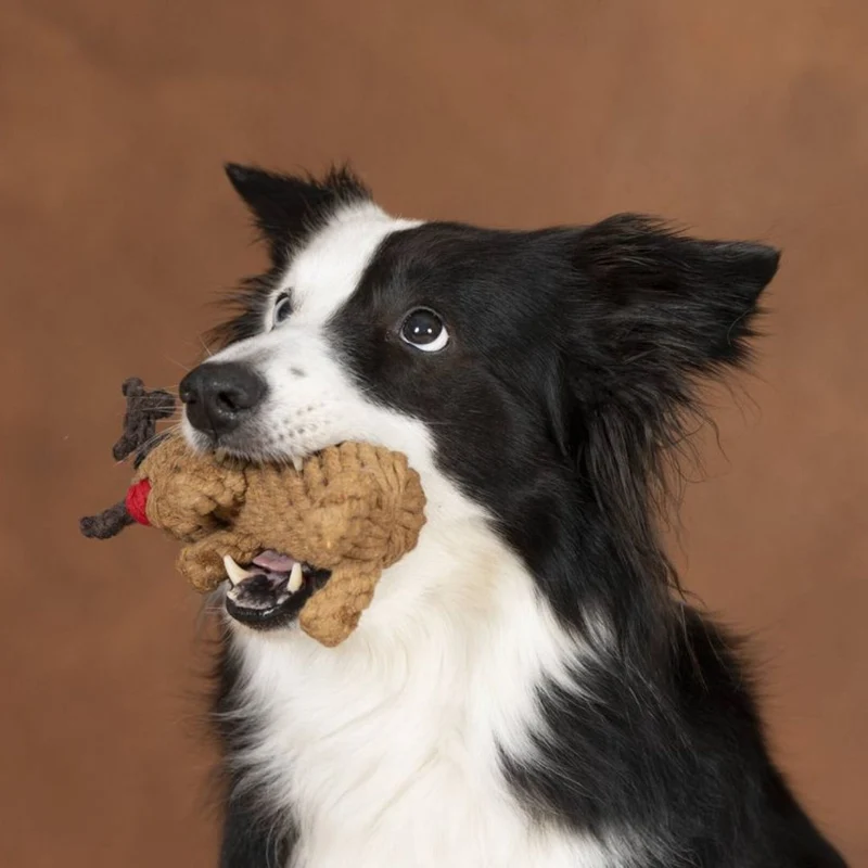 Hundespielzeug Rudi Rentier