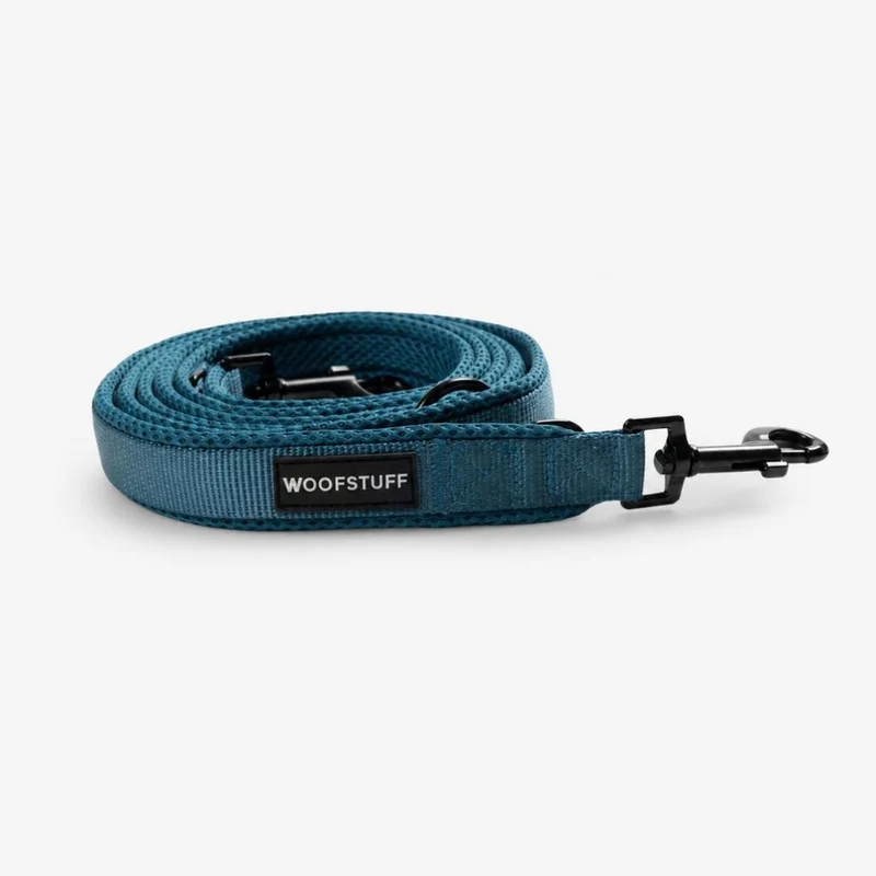 Hundeleine Nova Petrol