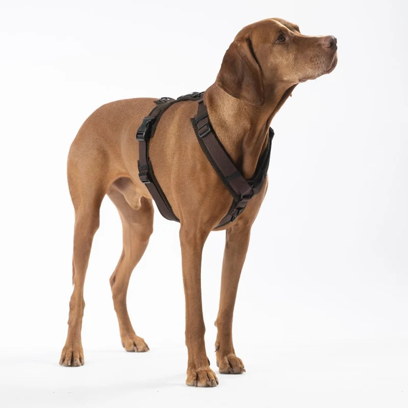 Y-Hundegeschirr Nova Chocolate