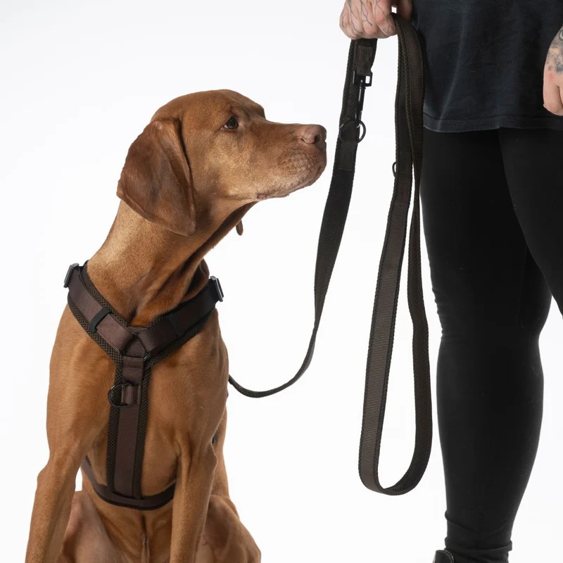 Y-Hundegeschirr Nova Chocolate