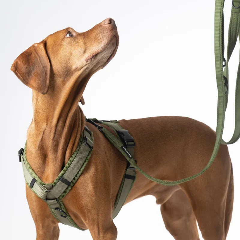 Y-Hundegeschirr Nova Olive
