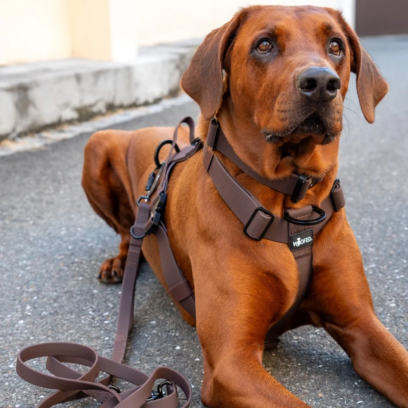 Y-Hundegeschirr WOOFLEX® 4fach-verstellbar mit Griff und Sicherheitsschnallen Espresso - wasserfest