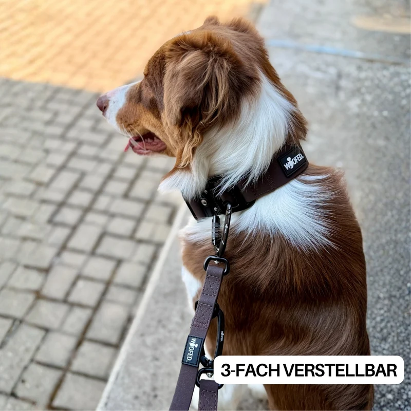 Y-Hundegeschirr WOOFLEX® 4fach-verstellbar mit Griff und Sicherheitsschnallen Espresso - wasserfest