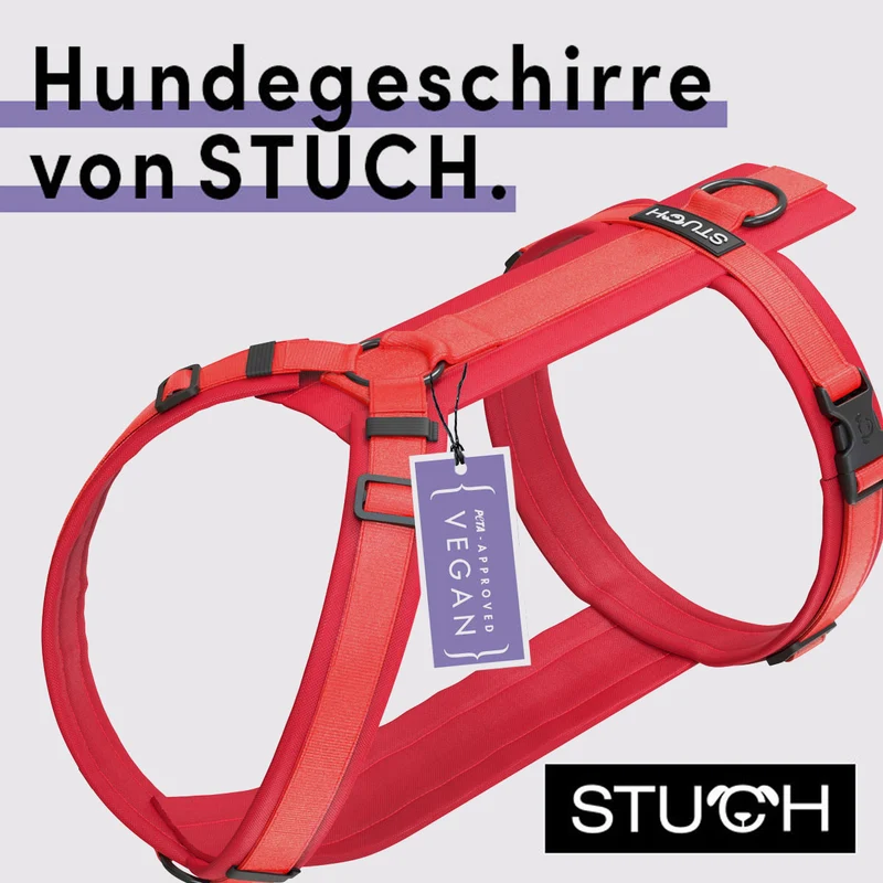 Hundegeschirr gepolstert - Rot