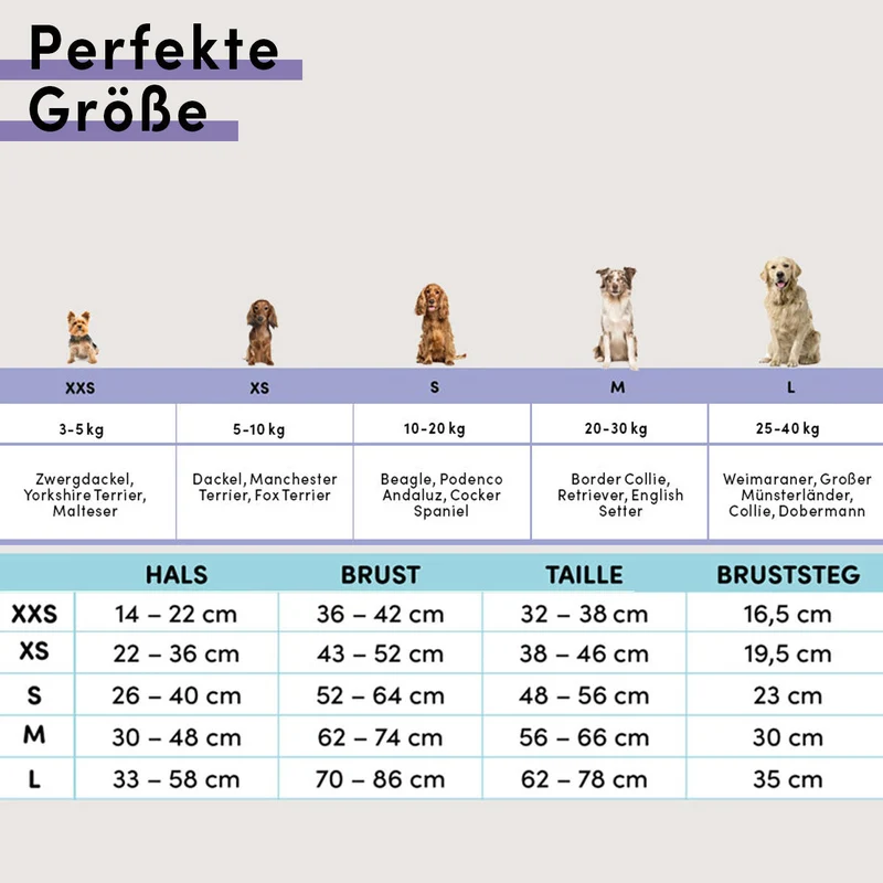 Hundegeschirr gepolstert - Rot