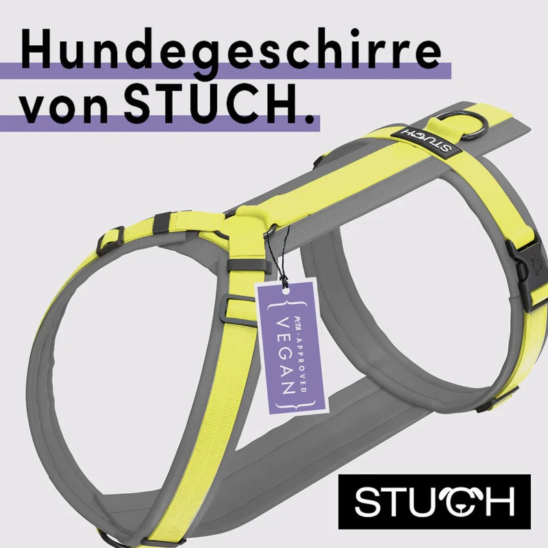 Hundegeschirr gepolstert - Lime