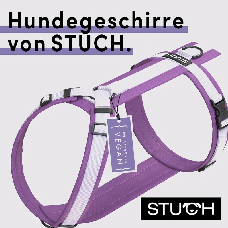 Hundegeschirr gepolstert - Lila