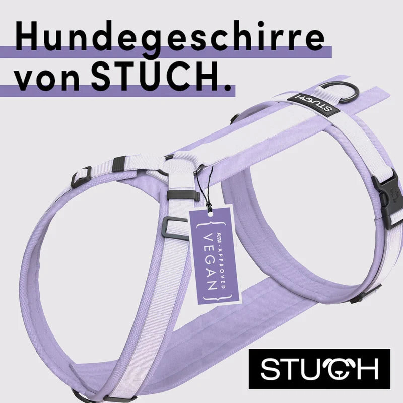 Hundegeschirr gepolstert - Flieder