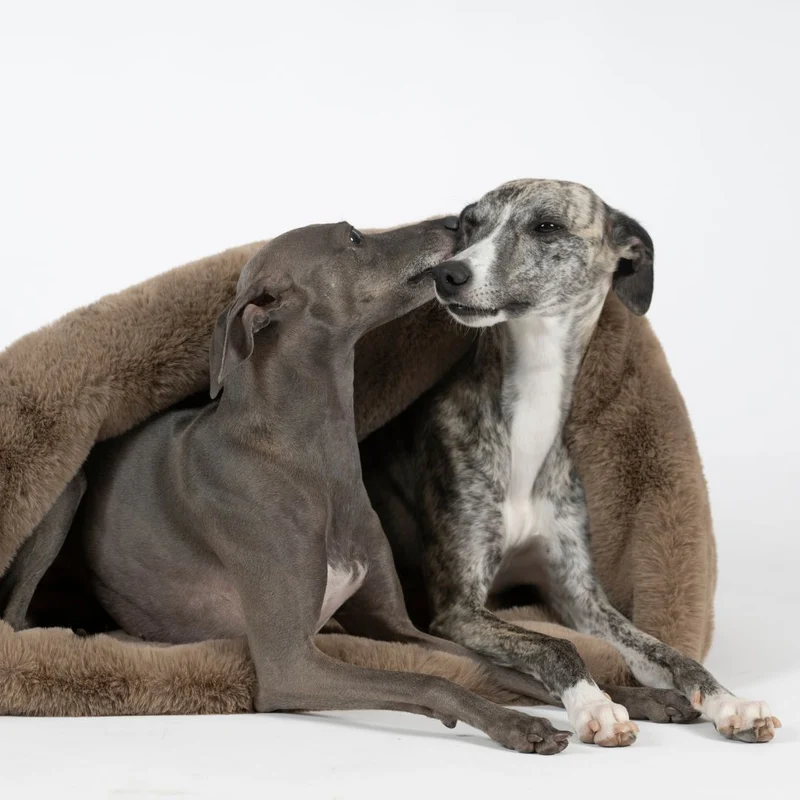 Kuschelschlafsack Fluffy Taupe