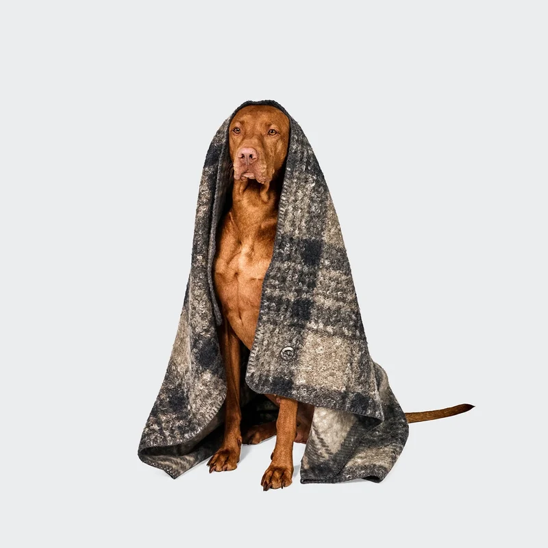 Hundedecke Bouclé Tartan