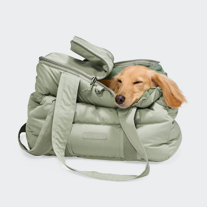 Hundetasche Montreal 2.0 Dusty Mint