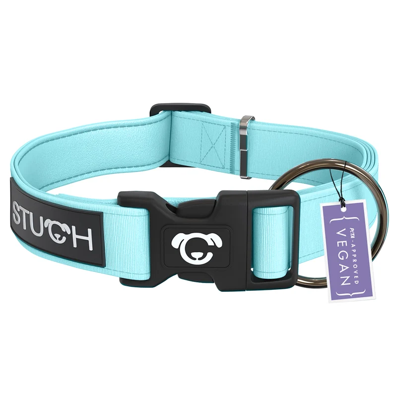 Hundehalsband gepolstert - Türkis