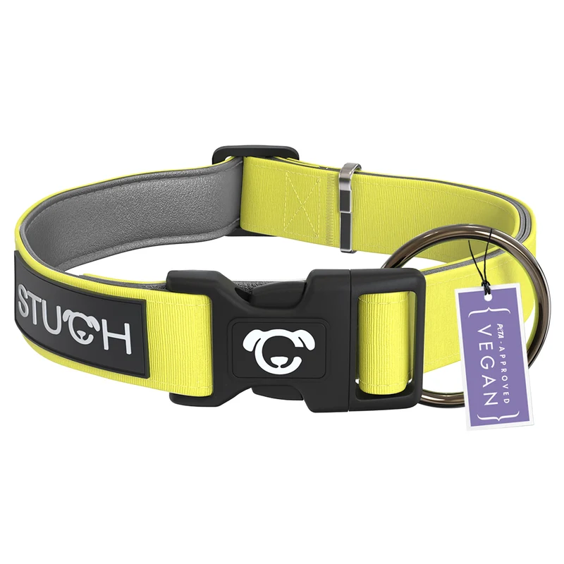 Hundehalsband gepolstert - Lime