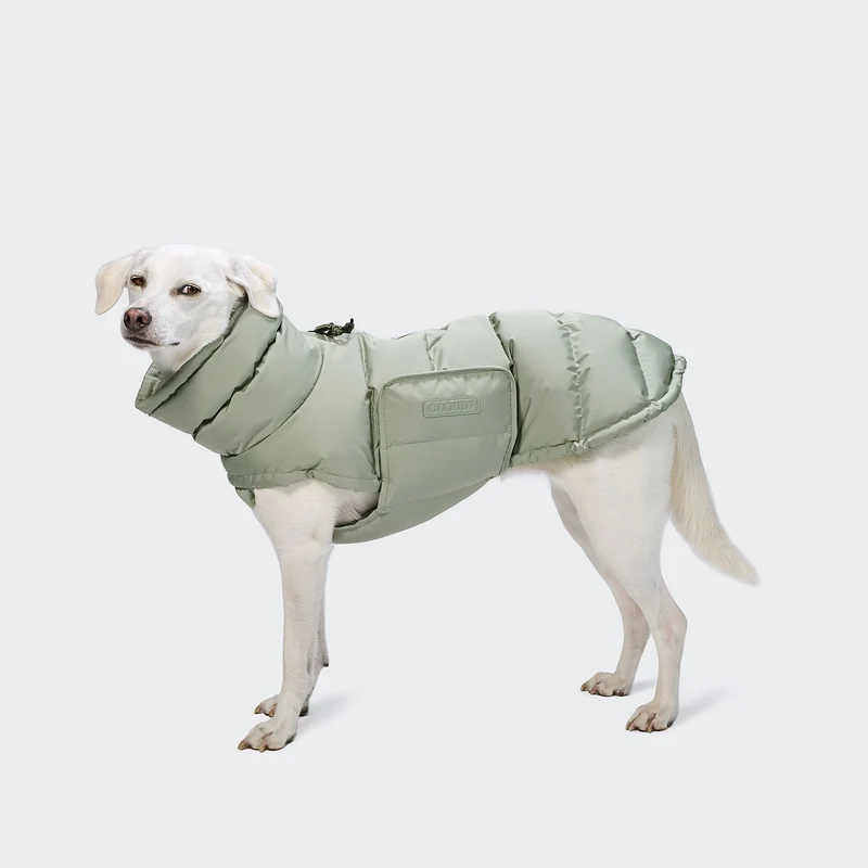 Hundemantel Alaska Dusty Mint