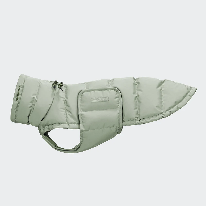 Hundemantel DACKEL Alaska Dusty Mint