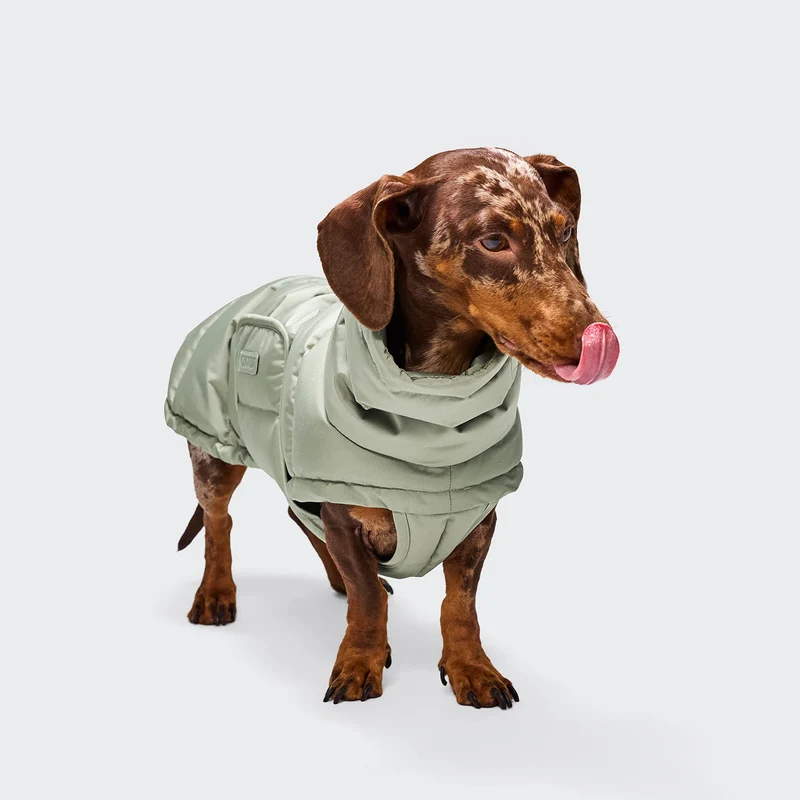 Hundemantel DACKEL Alaska Dusty Mint