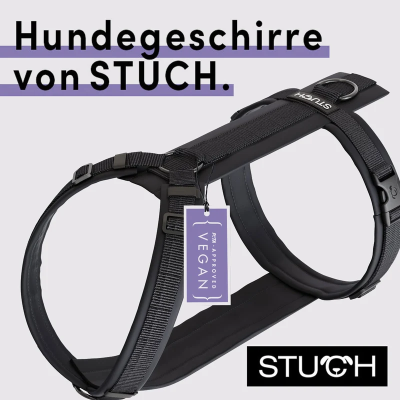Hundegeschirr gepolstert - Schwarz