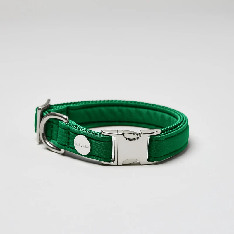 Halsband Softie GRÜN