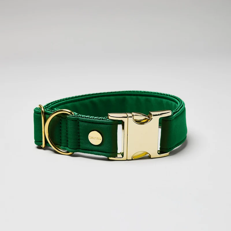 Halsband Softie GRÜN