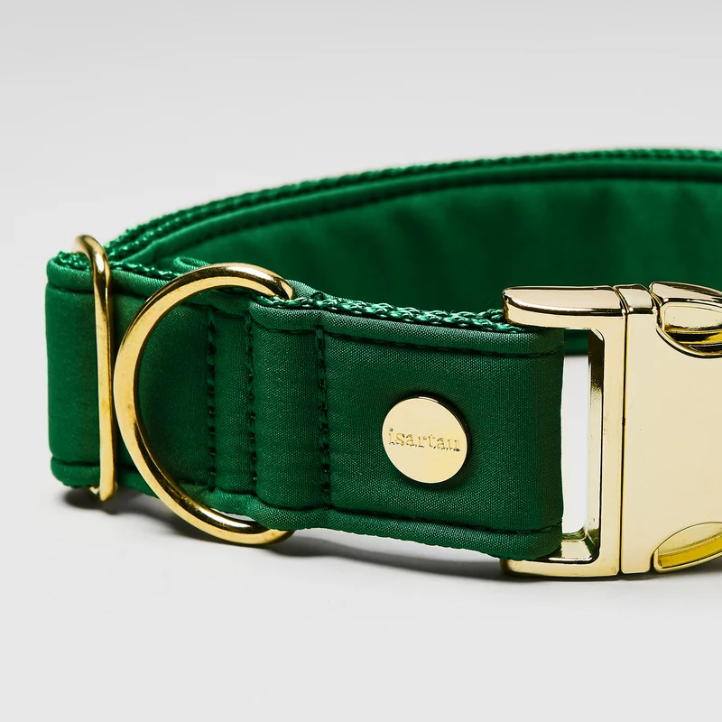 Halsband Softie GRÜN