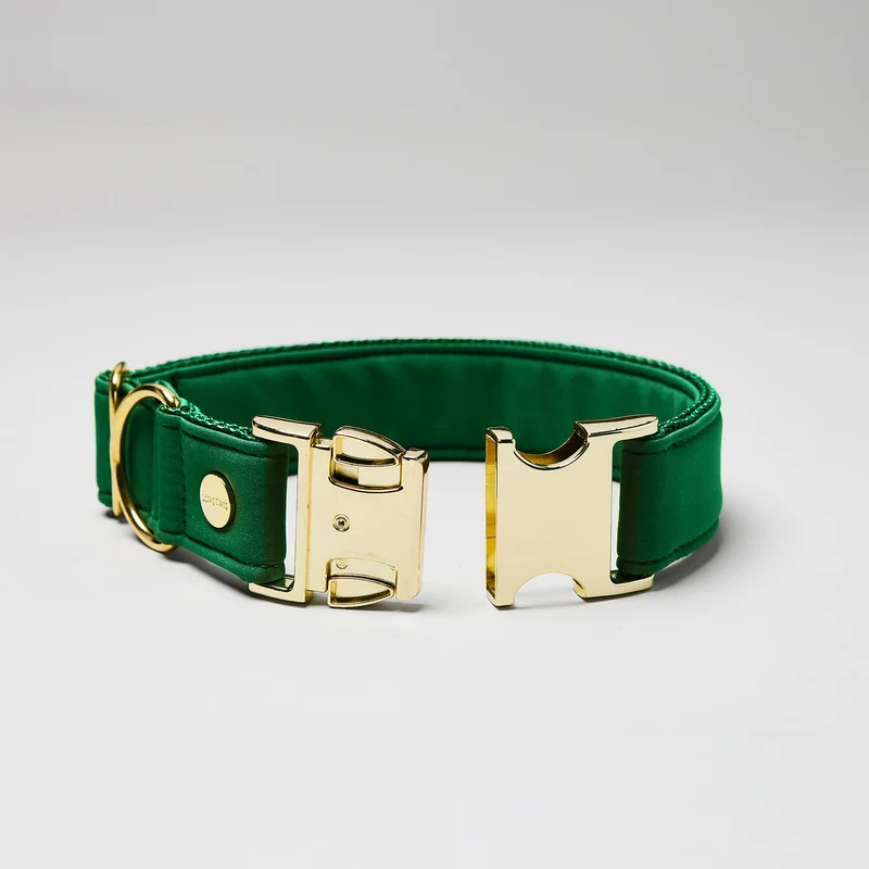 Halsband Softie GRÜN