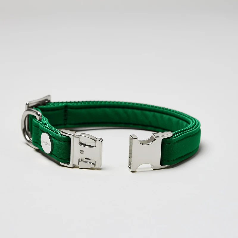 Halsband Softie GRÜN