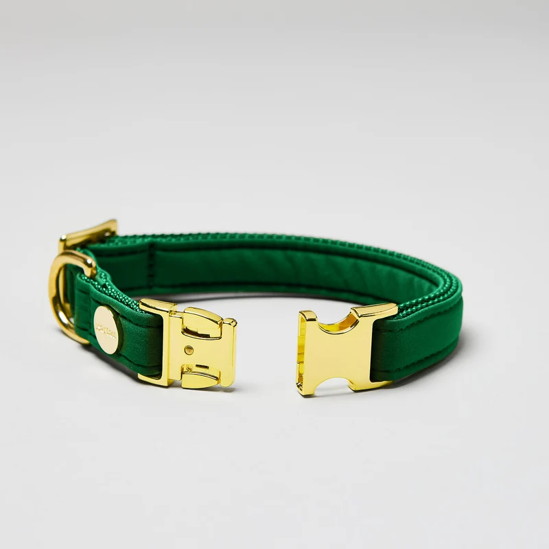 Halsband Softie GRÜN