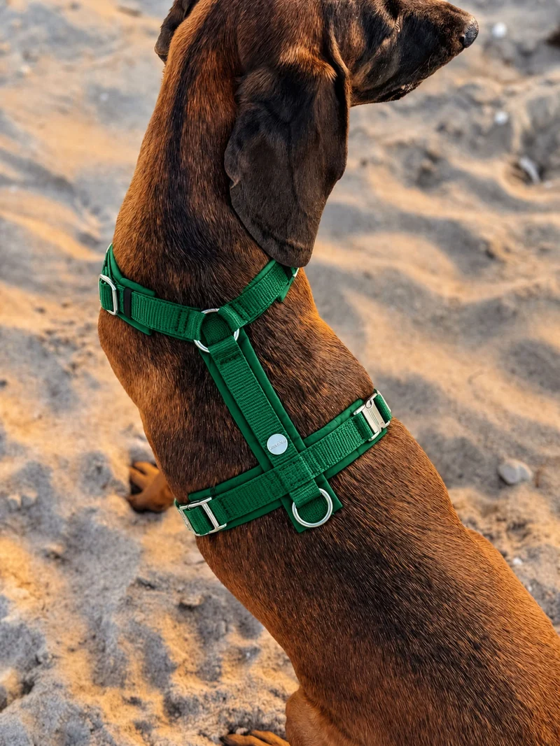 Hundegeschirr Softie GRÜN