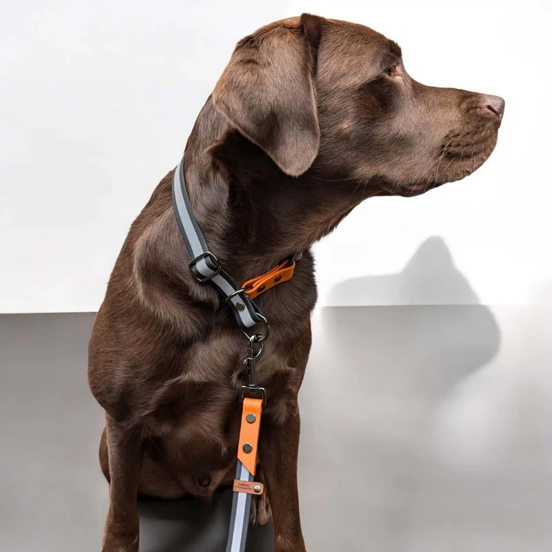 Reflektierende Hundeleine | mit BioThane® | Burnt Orange