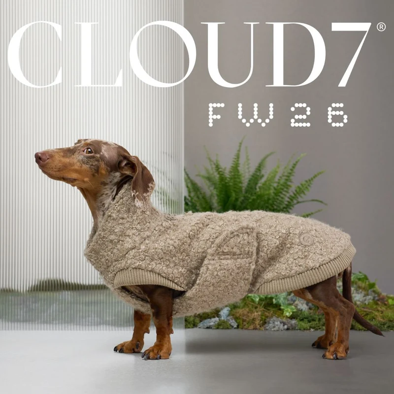 Hundepullover Gotland DACKEL Sandy Brown
