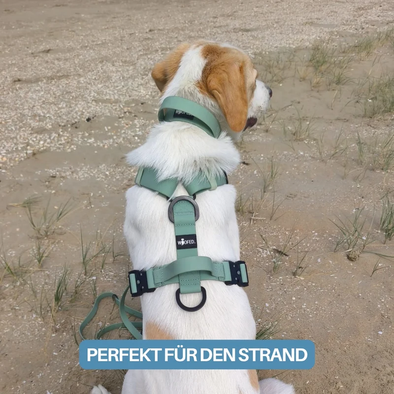 Y-Hundegeschirr WOOFLEX® 4fach-verstellbar mit Griff und Sicherheitsschnallen Jade Green - wasserfest