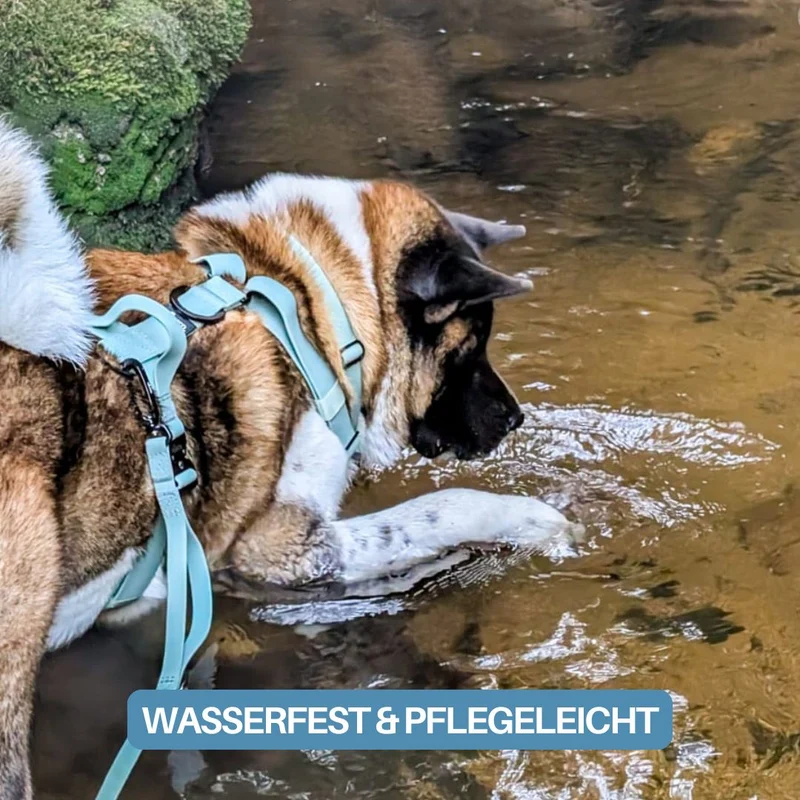 Y-Hundegeschirr WOOFLEX® 4fach-verstellbar mit Griff und Sicherheitsschnallen Jade Green - wasserfest