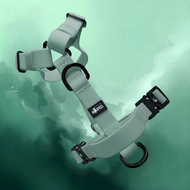 Y-Hundegeschirr WOOFLEX® 4fach-verstellbar mit Griff und Sicherheitsschnallen Jade Green - wasserfest