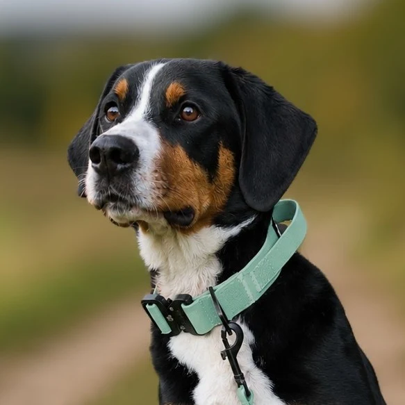 Halsband WOOFLEX® Tactical verstellbar mit Griff Jade Green