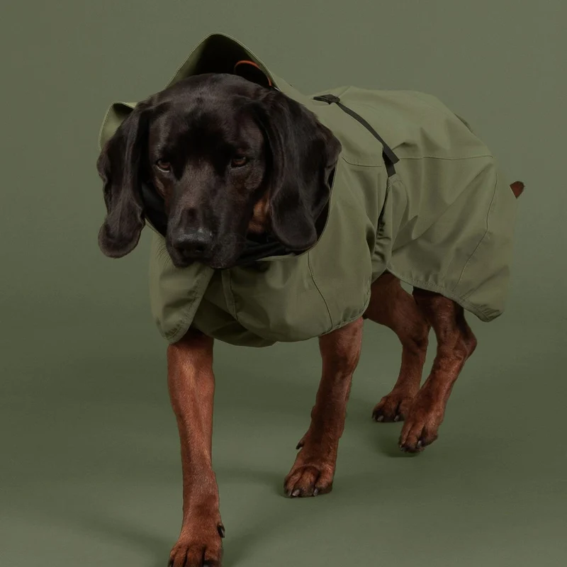 Reflektierender Hunderegenmantel Shell Jacket Green