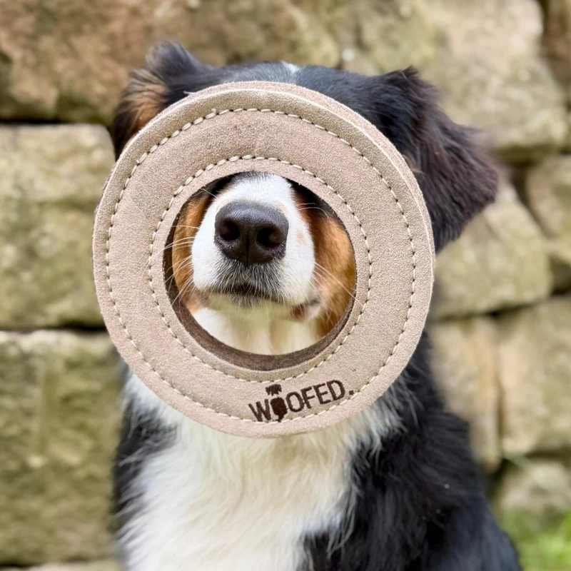 Natürliches Hundespielzeug Knochen & Ring