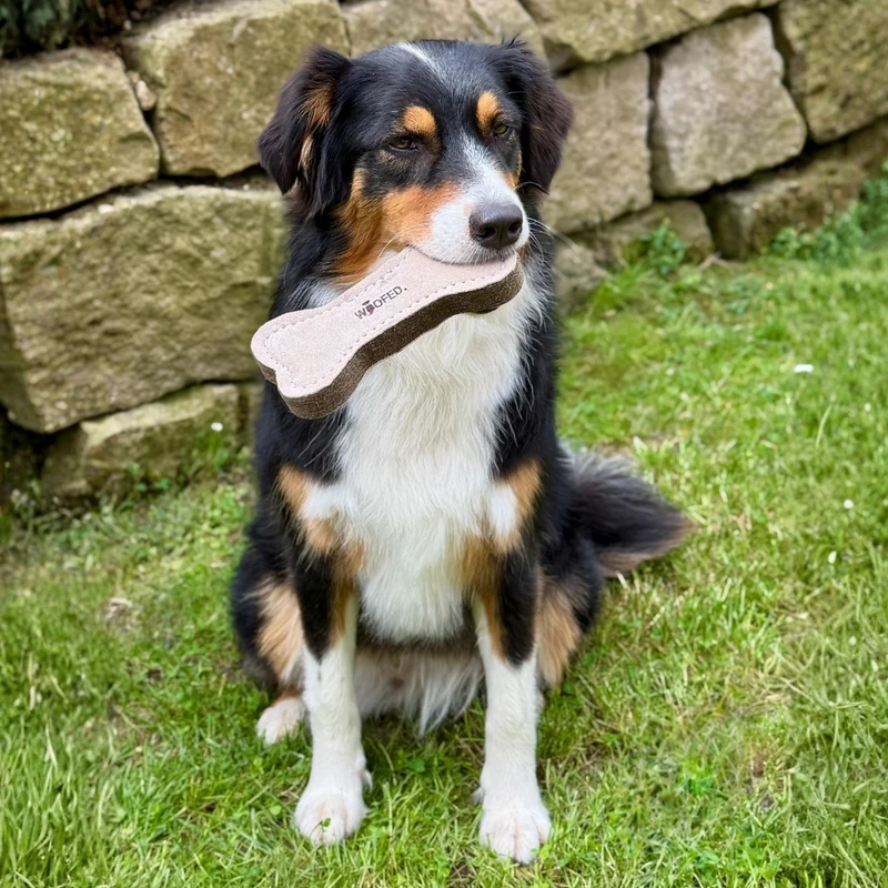 Natürliches Hundespielzeug Knochen & Ring