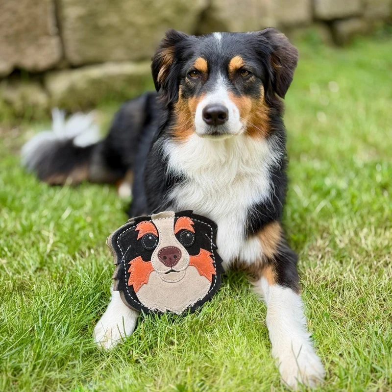 Natürliches Hundespielzeug Hundeköpfe