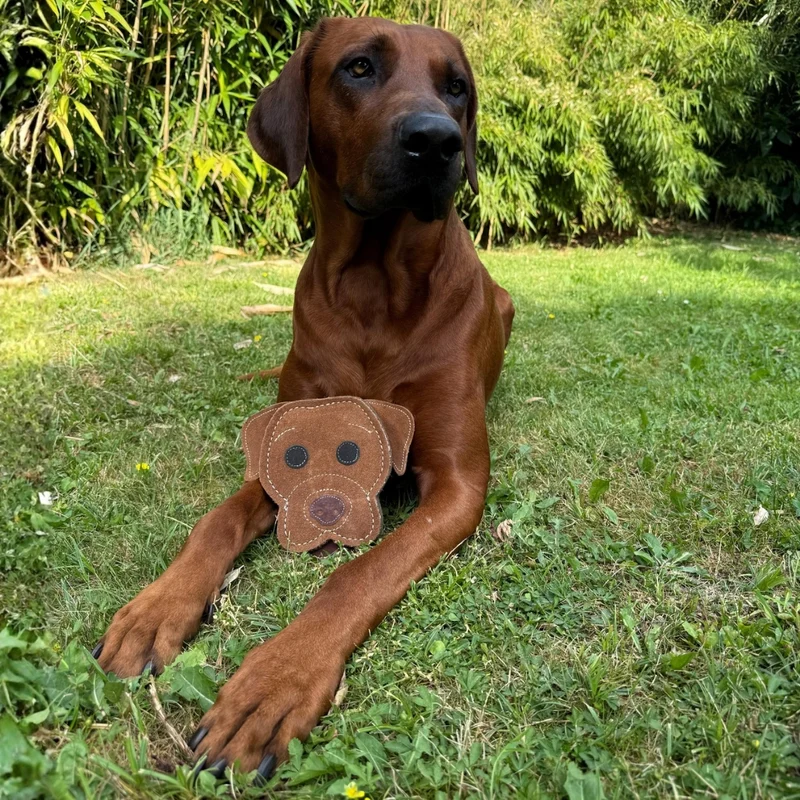 Natürliches Hundespielzeug Hundeköpfe