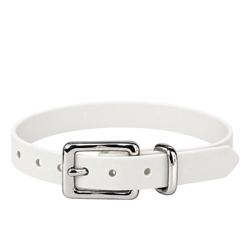 Bellepet Biothane-Halsband – Schnalle