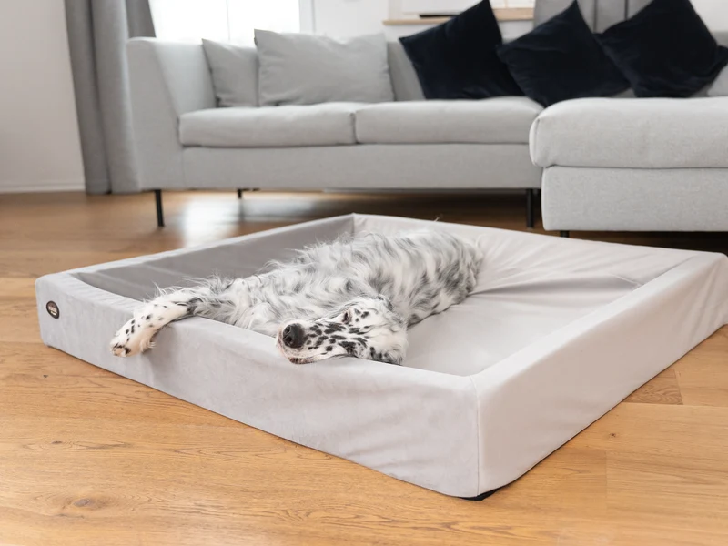 Hundebett KUDDE Samt