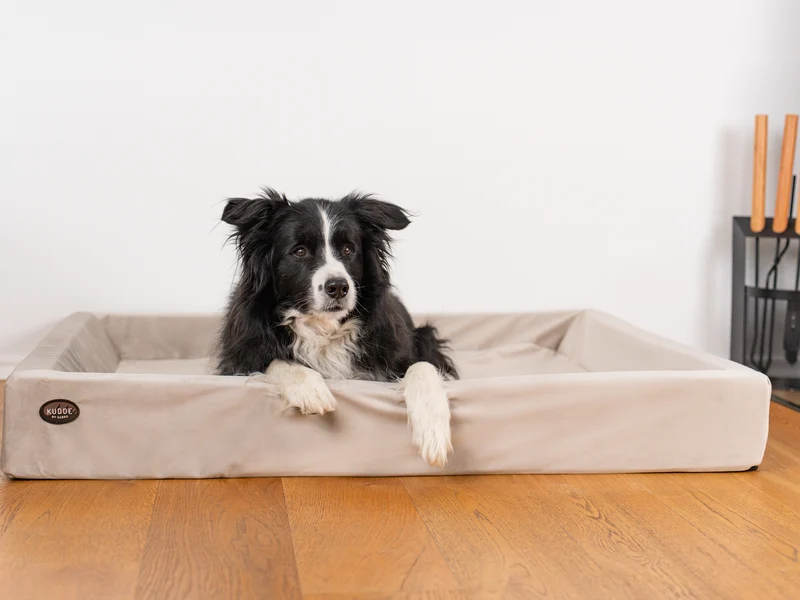 Hundebett KUDDE Samt