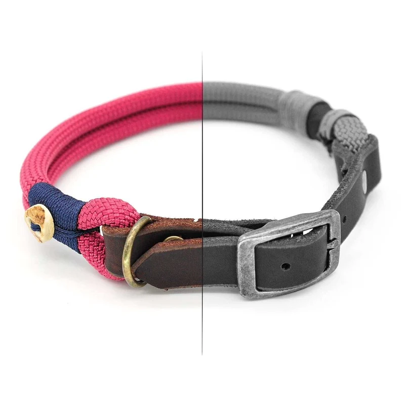Tau-Hundehalsband mit Schnalle – 10mm | Konfigurator