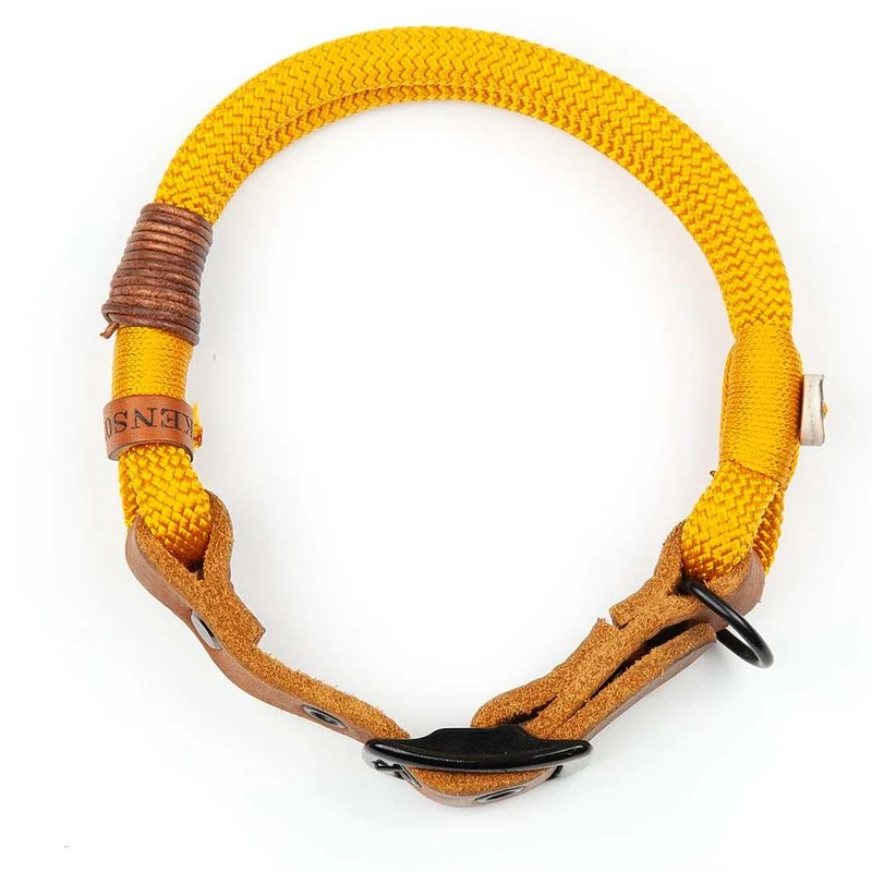Tau-Hundehalsband mit Schnalle – 10mm | Konfigurator