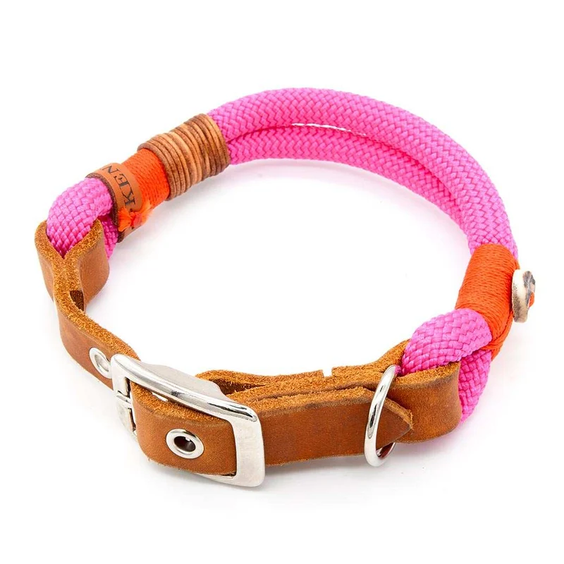 Tau-Hundehalsband mit Schnalle – 10mm | Konfigurator