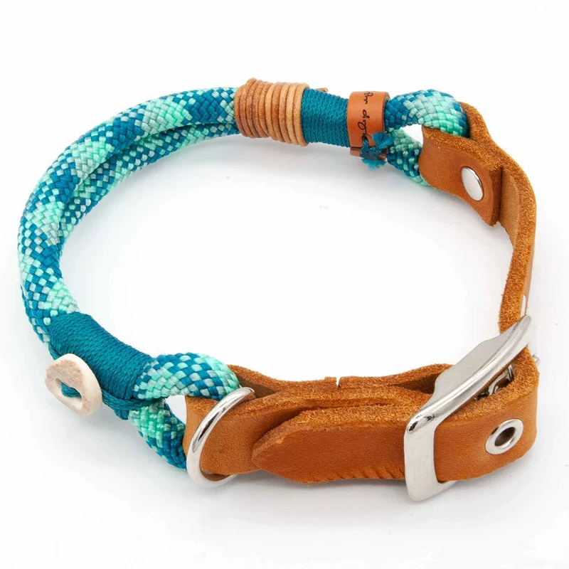 Tau-Hundehalsband mit Schnalle – 10mm | Konfigurator
