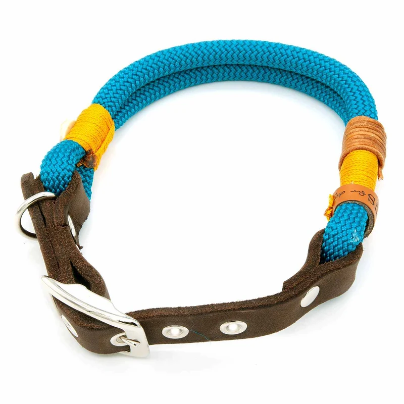 Tau-Hundehalsband mit Schnalle – 10mm | Konfigurator