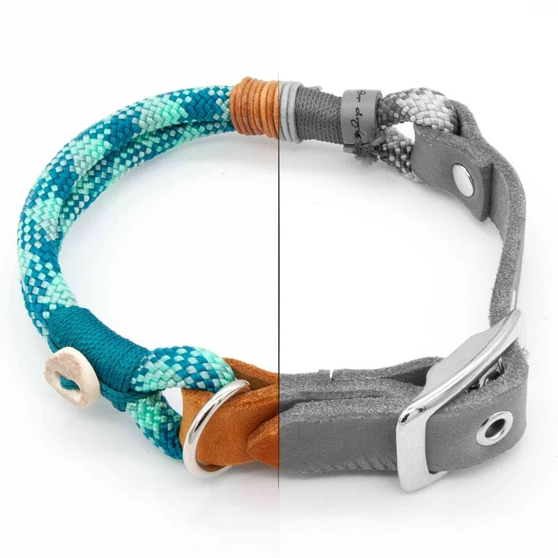 Tau-Hundehalsband mit Schnalle – 8mm | Konfigurator